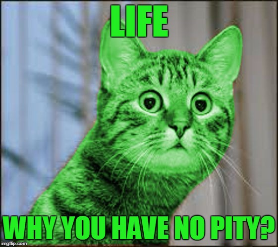 RayCat WTF | LIFE WHY YOU HAVE NO PITY? | image tagged in raycat wtf | made w/ Imgflip meme maker
