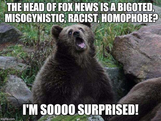 Sarcastic Bear | THE HEAD OF FOX NEWS IS A BIGOTED, MISOGYNISTIC, RACIST, HOMOPHOBE? I'M SOOOO SURPRISED! | image tagged in sarcastic bear,AdviceAnimals | made w/ Imgflip meme maker