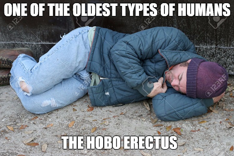 The Hobo Erectus | ONE OF THE OLDEST TYPES OF HUMANS; THE HOBO ERECTUS | image tagged in funny,hobo | made w/ Imgflip meme maker