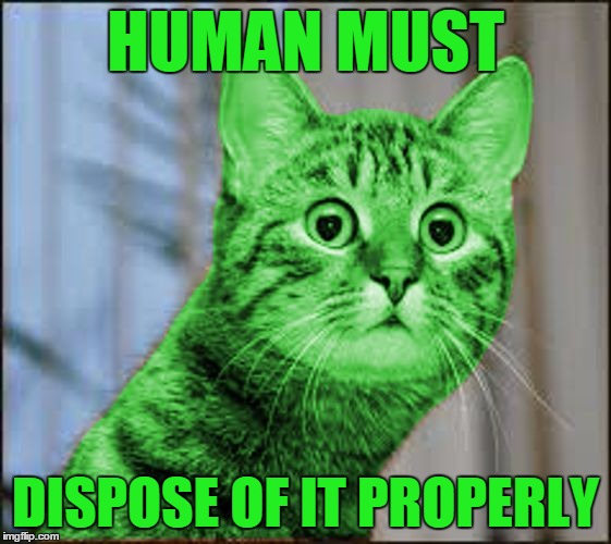 RayCat WTF | HUMAN MUST DISPOSE OF IT PROPERLY | image tagged in raycat wtf | made w/ Imgflip meme maker