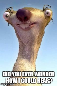 ice age | DID YOU EVER WONDER HOW I COULD HEAR? | image tagged in ice age | made w/ Imgflip meme maker