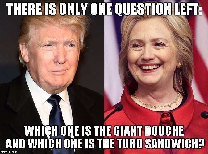 Hillary vs Trump | THERE IS ONLY ONE QUESTION LEFT:; WHICH ONE IS THE GIANT DOUCHE AND WHICH ONE IS THE TURD SANDWICH? | image tagged in giant douche,turd sandwich | made w/ Imgflip meme maker