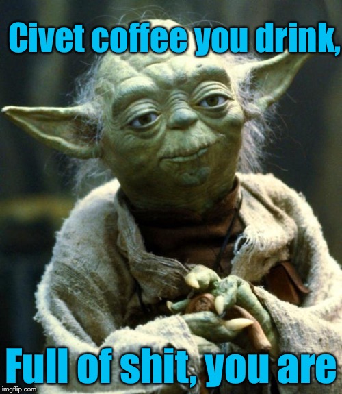 Star Wars Yoda Meme | Civet coffee you drink, Full of shit, you are | image tagged in memes,star wars yoda | made w/ Imgflip meme maker