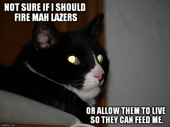 NOT SURE IF I SHOULD FIRE MAH LAZERS; OR ALLOW THEM TO LIVE SO THEY CAN FEED ME. | image tagged in apathatic lazer cat | made w/ Imgflip meme maker