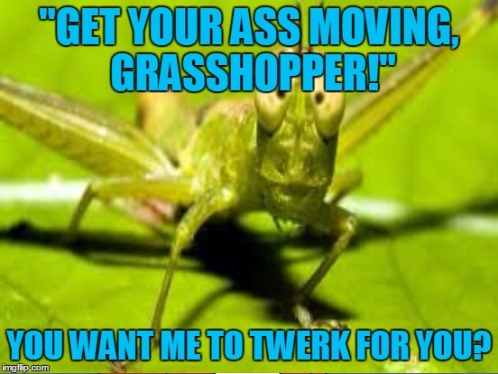 "GET YOUR ASS MOVING, GRASSHOPPER!" YOU WANT ME TO TWERK FOR YOU? | made w/ Imgflip meme maker