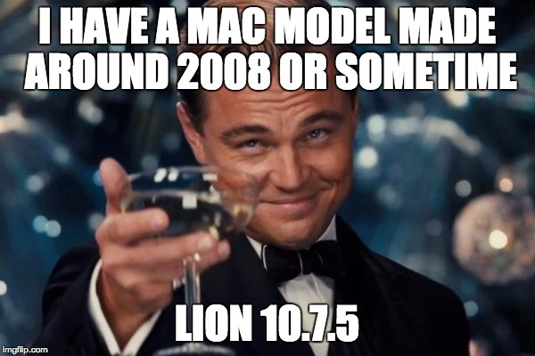 Leonardo Dicaprio Cheers Meme | I HAVE A MAC MODEL MADE AROUND 2008 OR SOMETIME LION 10.7.5 | image tagged in memes,leonardo dicaprio cheers | made w/ Imgflip meme maker