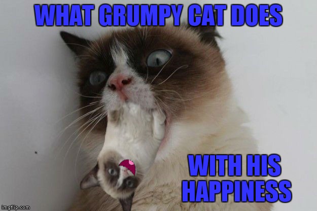 WHAT GRUMPY CAT DOES WITH HIS HAPPINESS | made w/ Imgflip meme maker