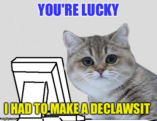 YOU'RE LUCKY I HAD TO MAKE A DECLAWSIT | made w/ Imgflip meme maker
