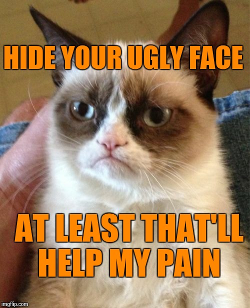 Grumpy Cat Meme | HIDE YOUR UGLY FACE AT LEAST THAT'LL HELP MY PAIN | image tagged in memes,grumpy cat | made w/ Imgflip meme maker