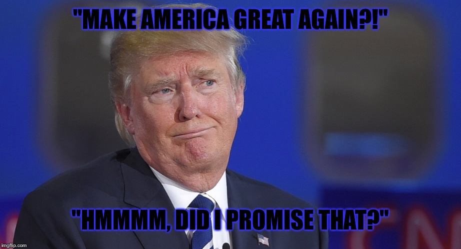Constant state of His own confusion  | "MAKE AMERICA GREAT AGAIN?!"; "HMMMM, DID I PROMISE THAT?" | image tagged in constant state of his own confusion | made w/ Imgflip meme maker