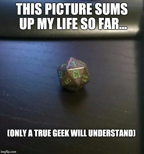 Only the truest geek will get it... | THIS PICTURE SUMS UP MY LIFE SO FAR... (ONLY A TRUE GEEK WILL UNDERSTAND) | image tagged in geek,d20,memes,funny memes | made w/ Imgflip meme maker