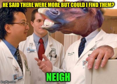 HE SAID THERE WERE MORE BUT COULD I FIND THEM? NEIGH | made w/ Imgflip meme maker