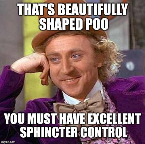 Creepy Condescending Wonka Meme | THAT'S BEAUTIFULLY SHAPED POO YOU MUST HAVE EXCELLENT SPHINCTER CONTROL | image tagged in memes,creepy condescending wonka | made w/ Imgflip meme maker
