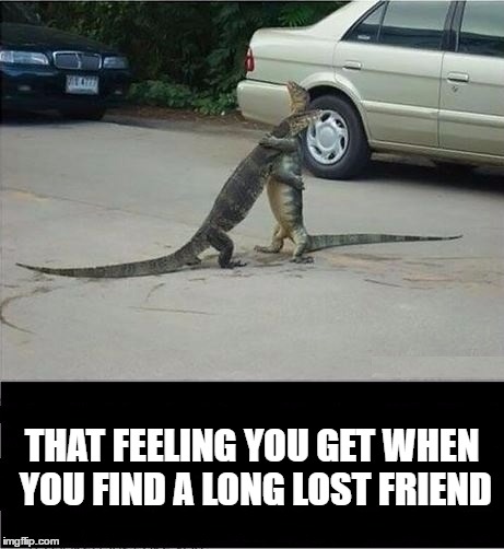 Long lost friend | THAT FEELING YOU GET WHEN YOU FIND A LONG LOST FRIEND | image tagged in long lost friend,feeling | made w/ Imgflip meme maker
