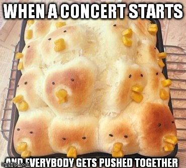 Concert  | WHEN A CONCERT STARTS; AND EVERYBODY GETS PUSHED TOGETHER | image tagged in memes | made w/ Imgflip meme maker