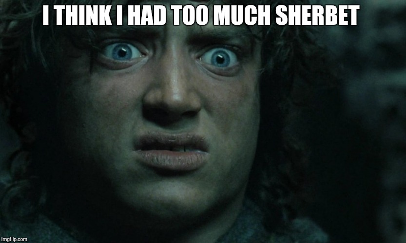 LOTR | I THINK I HAD TOO MUCH SHERBET | image tagged in lotr | made w/ Imgflip meme maker