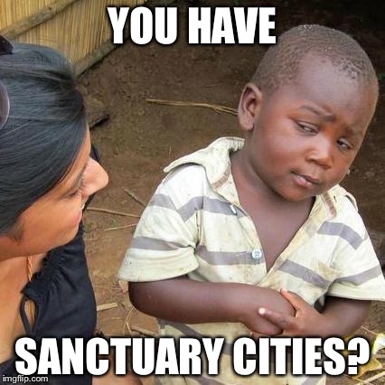 Yeah, for the people who enter illegally | YOU HAVE; SANCTUARY CITIES? | image tagged in memes,third world skeptical kid | made w/ Imgflip meme maker