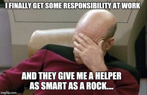 Captain Picard Facepalm | I FINALLY GET SOME RESPONSIBILITY AT WORK; AND THEY GIVE ME A HELPER AS SMART AS A ROCK.... | image tagged in memes,captain picard facepalm | made w/ Imgflip meme maker