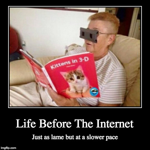 What did we do before the Internet?  | image tagged in demotivationals,internet,grandma finds the internet,cats,3d,life | made w/ Imgflip demotivational maker
