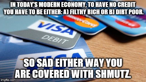 credit usually is evil | IN TODAY'S MODERN ECONOMY, TO HAVE NO CREDIT YOU HAVE TO BE EITHER: A) FILTHY RICH OR B) DIRT POOR. SO SAD EITHER WAY YOU ARE COVERED WITH SHMUTZ. | image tagged in comedy | made w/ Imgflip meme maker