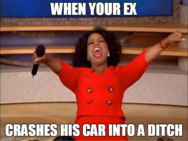 Oprah You Get A Meme | WHEN YOUR EX; CRASHES HIS CAR INTO A DITCH | image tagged in memes,oprah you get a | made w/ Imgflip meme maker