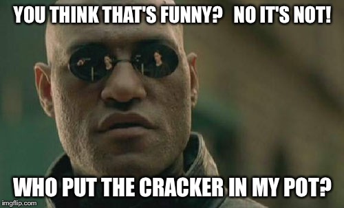 Matrix Morpheus Meme | YOU THINK THAT'S FUNNY?   NO IT'S NOT! WHO PUT THE CRACKER IN MY POT? | image tagged in memes,matrix morpheus | made w/ Imgflip meme maker