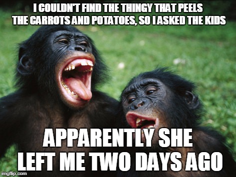 Bonobo Lyfe | I COULDN'T FIND THE THINGY THAT PEELS THE CARROTS AND POTATOES, SO I ASKED THE KIDS; APPARENTLY SHE LEFT ME TWO DAYS AGO | image tagged in memes,bonobo lyfe | made w/ Imgflip meme maker