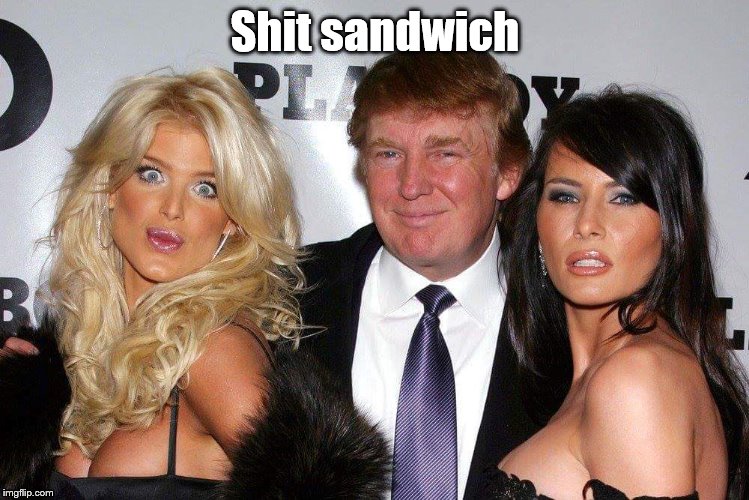 Shit sandwich | image tagged in trump 2016 | made w/ Imgflip meme maker