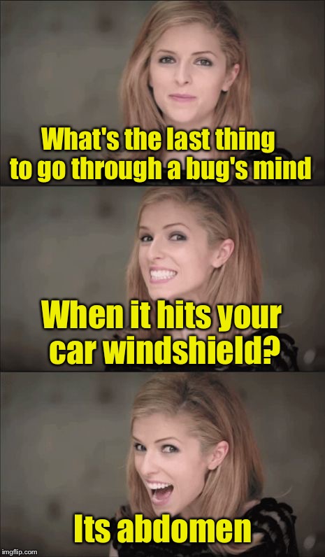 Bad Pun Anna Kendrick | What's the last thing to go through a bug's mind; When it hits your car windshield? Its abdomen | image tagged in memes,bad pun anna kendrick | made w/ Imgflip meme maker