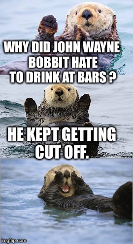 Bad pun Bobbit | WHY DID JOHN WAYNE BOBBIT HATE TO DRINK AT BARS ? HE KEPT GETTING CUT OFF. | image tagged in memes,bad pun,otter,cut | made w/ Imgflip meme maker