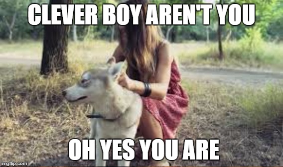 CLEVER BOY AREN'T YOU OH YES YOU ARE | made w/ Imgflip meme maker