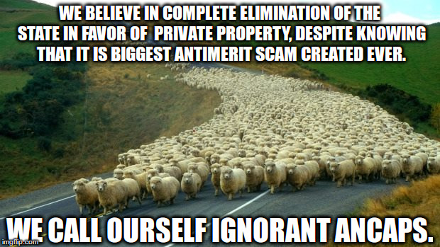 We call ourself ignorant ancaps. | WE BELIEVE IN COMPLETE ELIMINATION OF THE STATE IN FAVOR OF  PRIVATE PROPERTY, DESPITE KNOWING THAT IT IS BIGGEST ANTIMERIT SCAM CREATED EVER. WE CALL OURSELF IGNORANT ANCAPS. | image tagged in memes,capitalism,money,greed,greedy | made w/ Imgflip meme maker