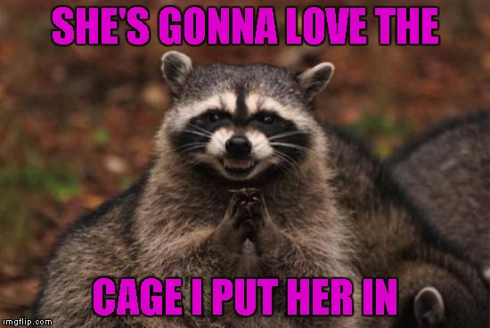 SHE'S GONNA LOVE THE CAGE I PUT HER IN | made w/ Imgflip meme maker