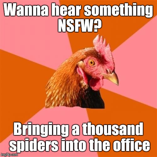 Anti Joke Chicken Meme | Wanna hear something NSFW? Bringing a thousand spiders into the office | image tagged in memes,anti joke chicken,trhtimmy | made w/ Imgflip meme maker