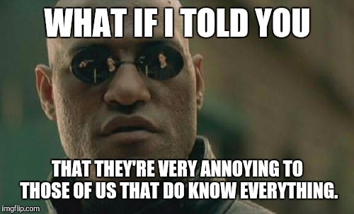 Matrix Morpheus Meme | WHAT IF I TOLD YOU THAT THEY'RE VERY ANNOYING TO THOSE OF US THAT DO KNOW EVERYTHING. | image tagged in memes,matrix morpheus | made w/ Imgflip meme maker
