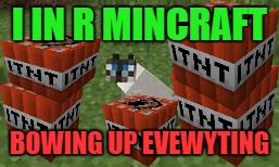 TNT Cat | I IN R MINCRAFT; BOWING UP EVEWYTING | image tagged in minecraft cat,tnt | made w/ Imgflip meme maker