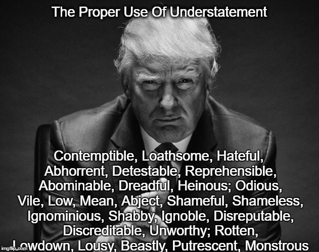 The Proper Use Of Understatement Contemptible, Loathsome, Hateful, Abhorrent, Detestable, Reprehensible, Abominable, Dreadful, Heinous; Odio | made w/ Imgflip meme maker