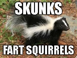 skunks = fart squirrels | SKUNKS; FART SQUIRRELS | image tagged in stoner skunk | made w/ Imgflip meme maker