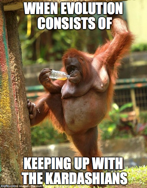 sexy orangutan | WHEN EVOLUTION CONSISTS OF; KEEPING UP WITH THE KARDASHIANS | image tagged in sexy orangutan | made w/ Imgflip meme maker
