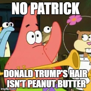 No Patrick Meme | NO PATRICK; DONALD TRUMP'S HAIR ISN'T PEANUT BUTTER | image tagged in memes,no patrick | made w/ Imgflip meme maker