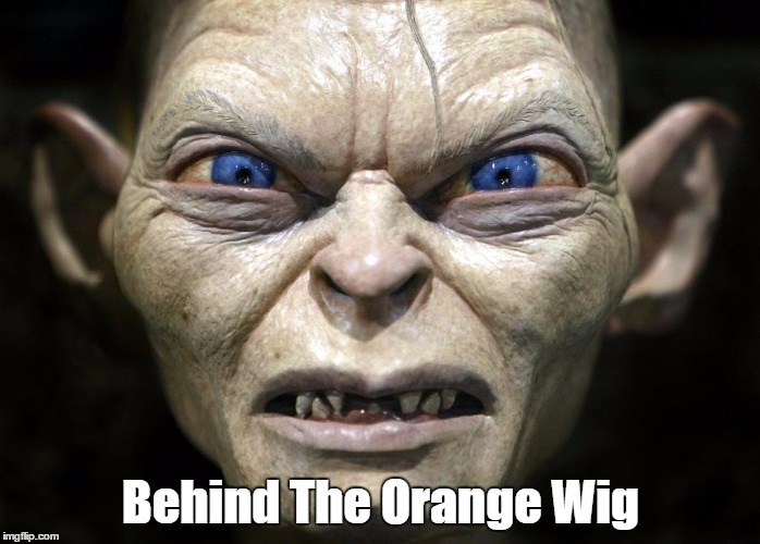 Behind The Orange Wig | made w/ Imgflip meme maker