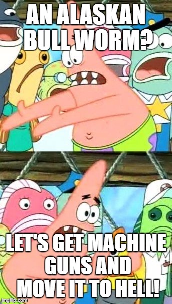 Machine Gun It To Hell! | AN ALASKAN BULL WORM? LET'S GET MACHINE GUNS AND MOVE IT TO HELL! | image tagged in memes,put it somewhere else patrick | made w/ Imgflip meme maker