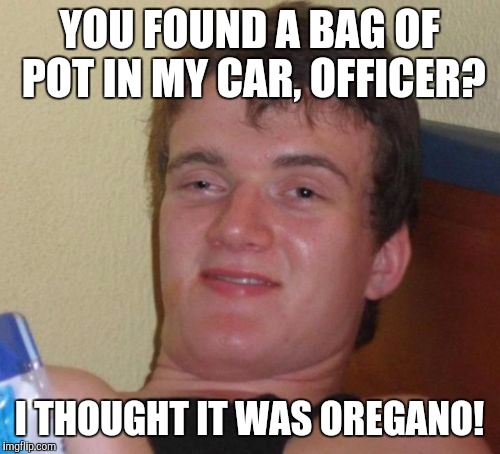 10 Guy | YOU FOUND A BAG OF POT IN MY CAR, OFFICER? I THOUGHT IT WAS OREGANO! | image tagged in memes,10 guy | made w/ Imgflip meme maker