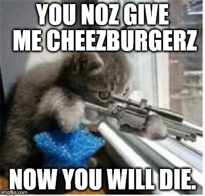 cats with guns | YOU NOZ GIVE ME CHEEZBURGERZ; NOW YOU WILL DIE. | image tagged in cats with guns | made w/ Imgflip meme maker