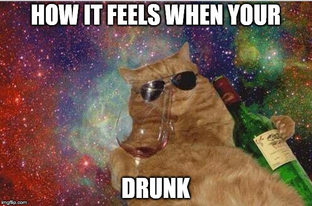 Cats n wine | HOW IT FEELS WHEN YOUR; DRUNK | image tagged in cats n wine | made w/ Imgflip meme maker