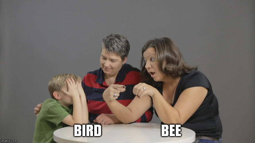 BIRD                       BEE | made w/ Imgflip meme maker