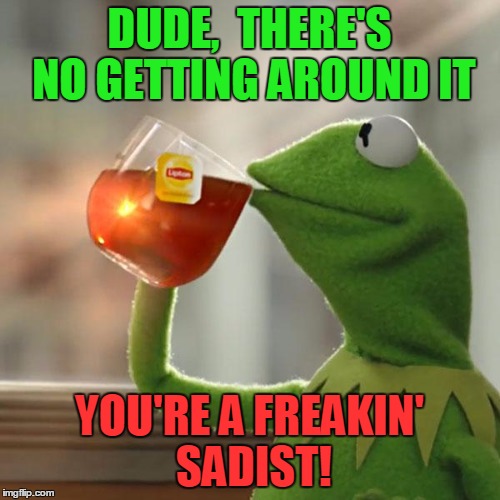 But That's None Of My Business Meme | DUDE,  THERE'S NO GETTING AROUND IT YOU'RE A FREAKIN' SADIST! | image tagged in memes,but thats none of my business,kermit the frog | made w/ Imgflip meme maker