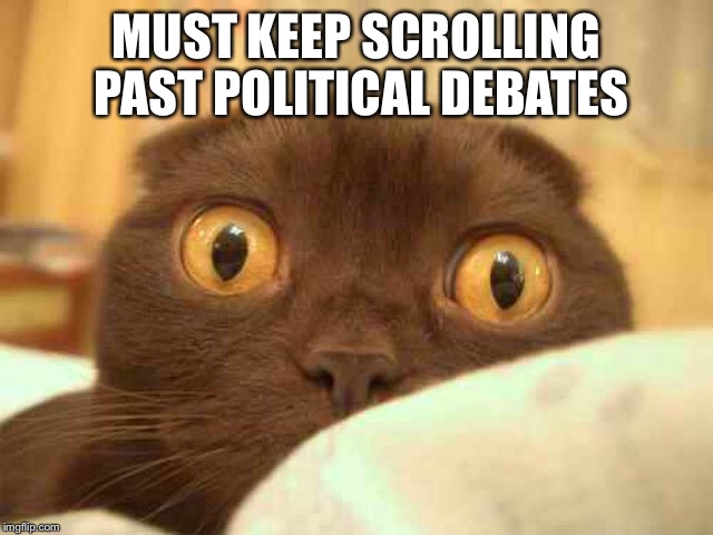 Politics as usual | MUST KEEP SCROLLING PAST POLITICAL DEBATES | image tagged in political,funny memes,cats,latest stream | made w/ Imgflip meme maker