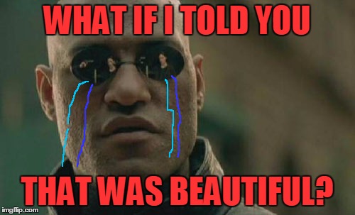 Matrix Morpheus Meme | WHAT IF I TOLD YOU THAT WAS BEAUTIFUL? | image tagged in memes,matrix morpheus | made w/ Imgflip meme maker