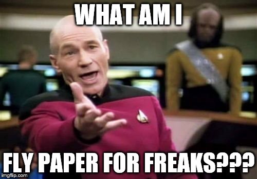 Picard Wtf Meme | WHAT AM I; FLY PAPER FOR FREAKS??? | image tagged in memes,picard wtf | made w/ Imgflip meme maker